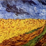 Field without crows