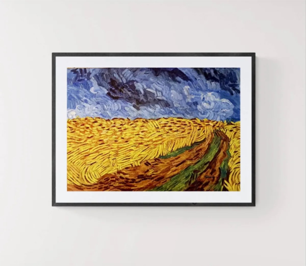 Field without crows
