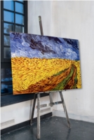 Field without crows