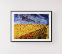 Field without crows