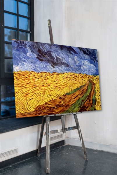 Field without crows