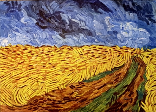 Field without crows
