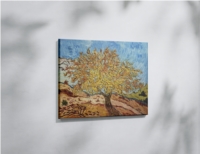 Tree in the mountains
