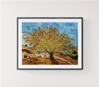 Tree in the mountains