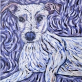 Dog lying down