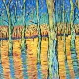 Forest in the fall