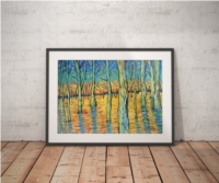 Forest in the fall